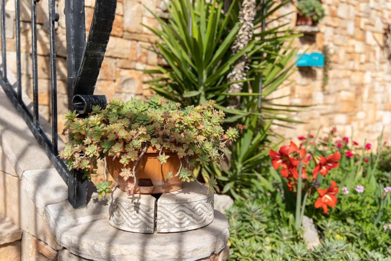 Villa Sun Garden - 4 Star Villa With Heated Swimming Pool, Quiet Bay, Bbq, 50M From The Sea Milna  Εξωτερικό φωτογραφία